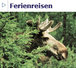 Bild - Link zu Ferienreisen